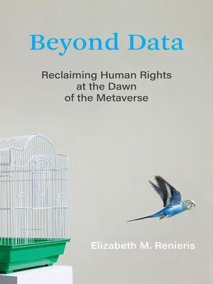 cover image of Beyond Data
